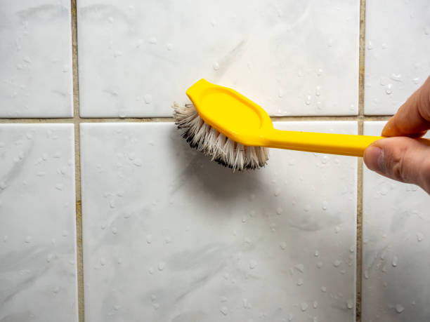 Best Insurance-Related Mold Remediation in Glendale, CA